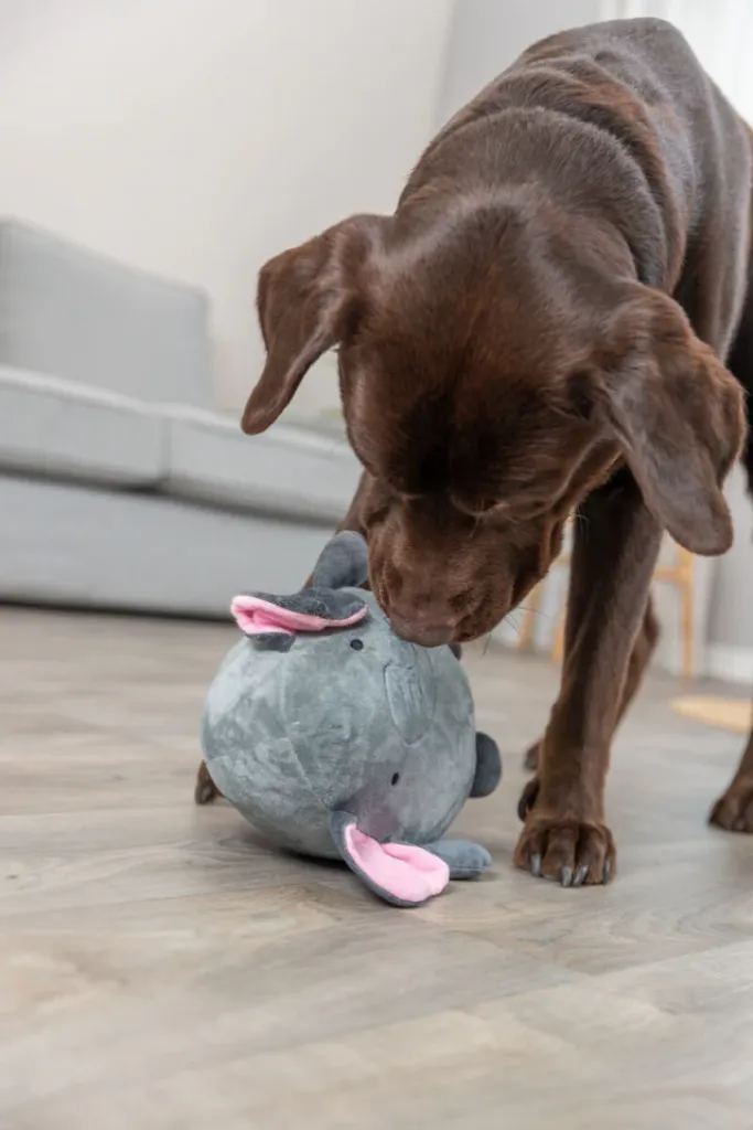 Elefant